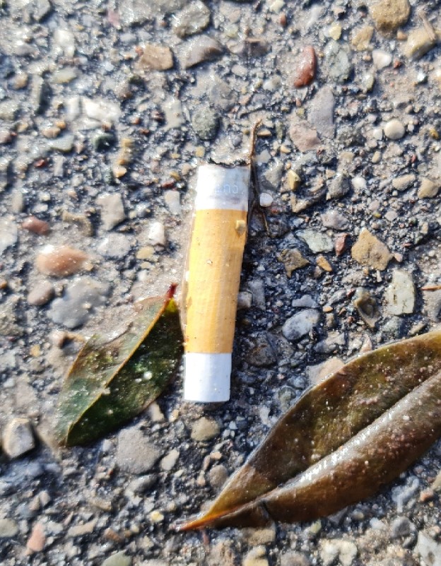 GB_IND11 Umwelt -Zigarettenstummel.jpg