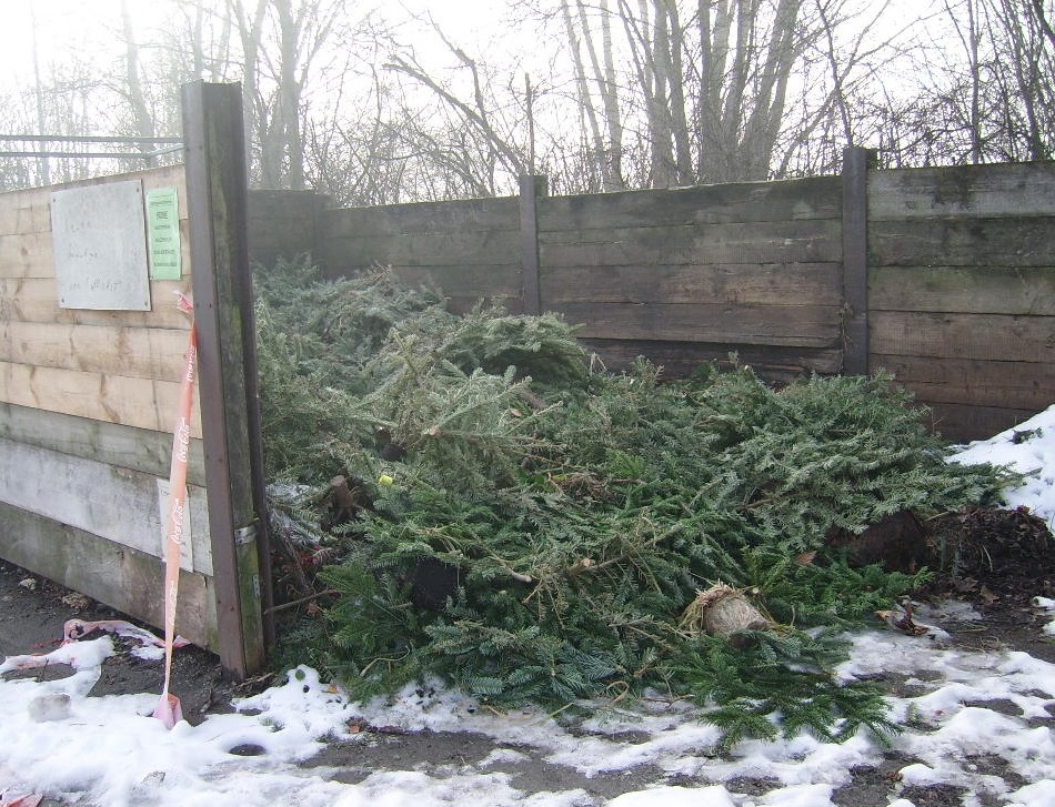 Recyclinghof Gartenabfälle mit ausgedienten Weihnachtsbäumen.jpg