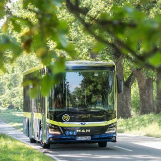 Bus