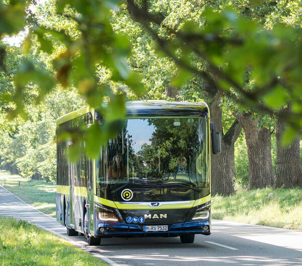 Bus